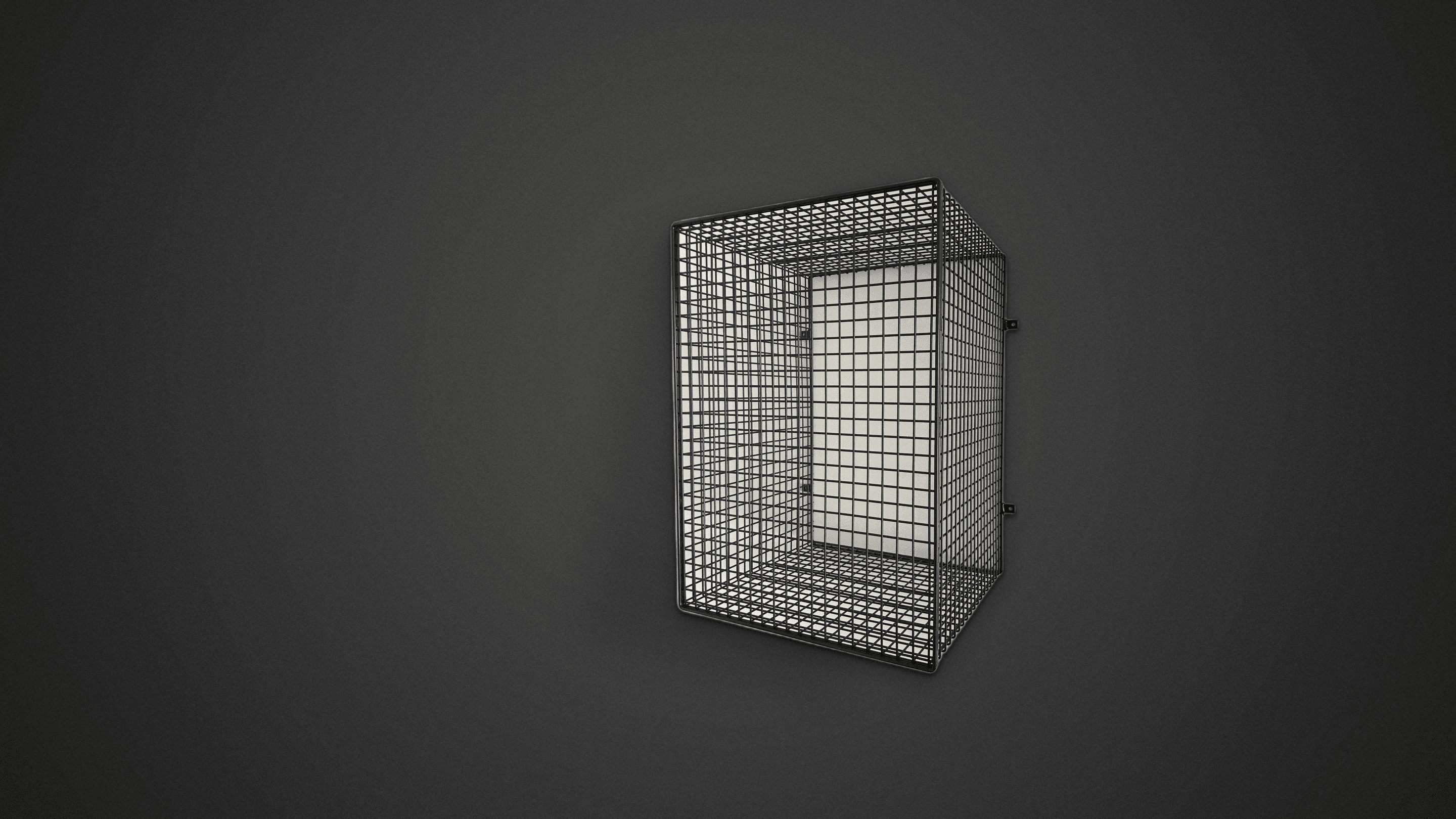 Black Wall-Mount Wire Guard
