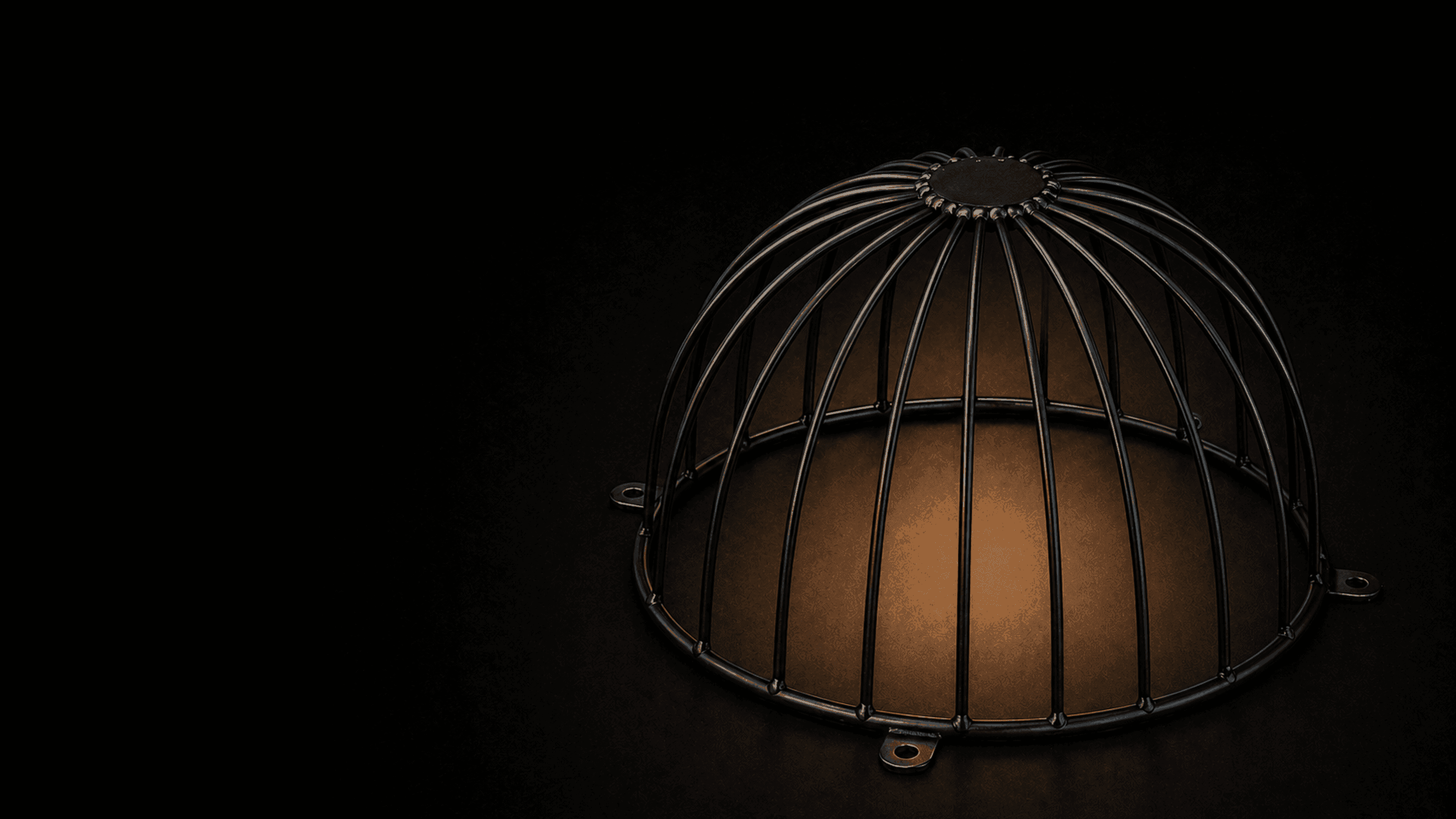 Industrial Light Guard